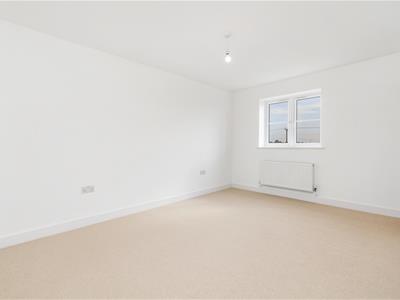 Picture 24